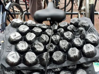 Carolien Adriaansche Haagse Rat afval verzamelen