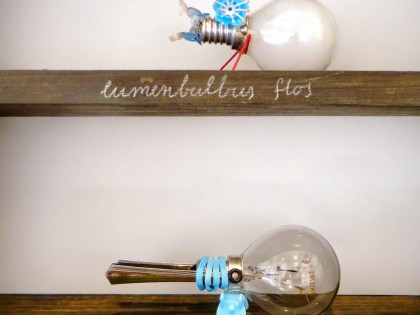 Carolien Adriaansche Collectie Lumenbulbus