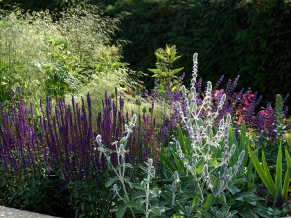 bloemen-border-tuinontwerp24