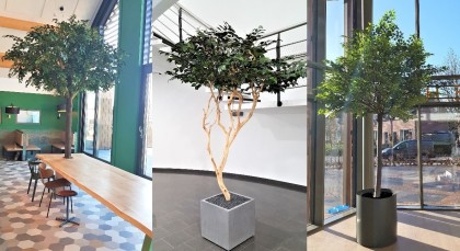 collage_art._bomen_2_