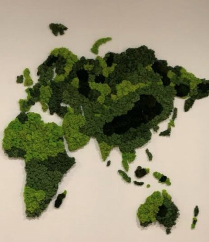 moswand wereld kaart