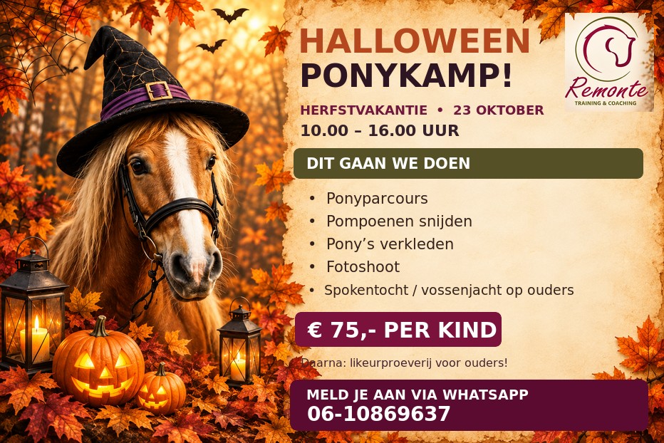Een uniek dagkamp voor kids! Even Vitamine-Paard opdoen.