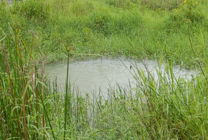 Water in het grasveld